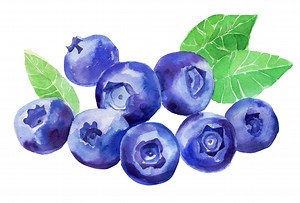 Les aliments anticancer du côlon