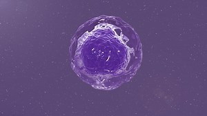 clip-1065395095-cell-division-cells-dividing-under-microscope-cloning