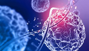 Center for One Health Research