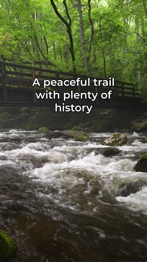 Hike the Kephart Prong Trail in the Great Smoky Mountains National Park
