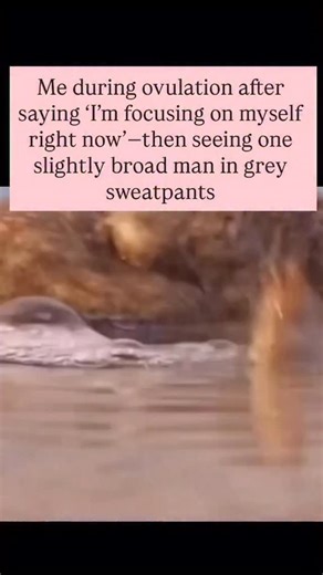 Ovulation turning you into someone else? 😵‍💫 Belle shows you where you are in your cycle, why you feel this way, and what’s coming next. Start tracking — link in bio ⏱️ | bellehealth.app