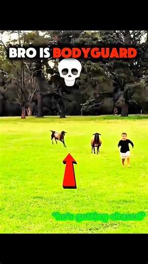 Bro is bodyguard 💀