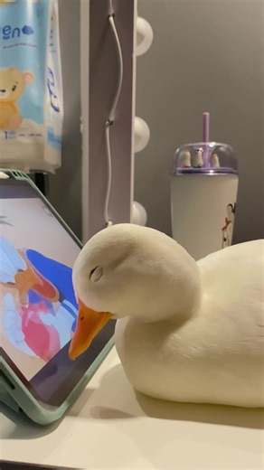 Watch Donald Duck Videos | Cute and Funny Duck Moments