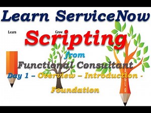Day1 | ServiceNow Scripting - Overview - Introduction - Foundation |Learn From Functional Consultant