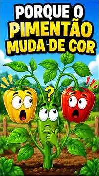 O SOL FAZ ISSO NO PIMENTÃO