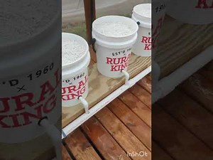 Setting Up a Dutch Bucket System - Part 1