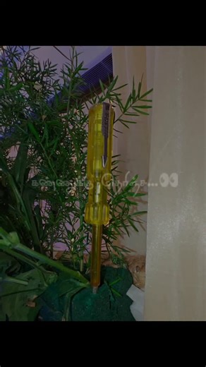 Smart King on Instagram: "🫰 My god tester 🫵"