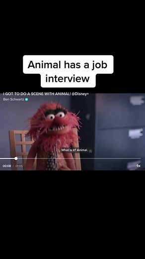 #muppets #animal #jobinterview | Puppet