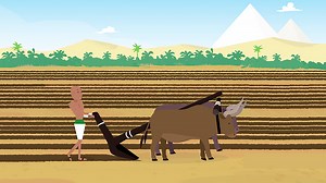 Why was farming important to the ancient Egyptians? - BBC Bitesize
