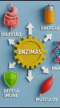 o que são enzimas? para que servem? #biologia