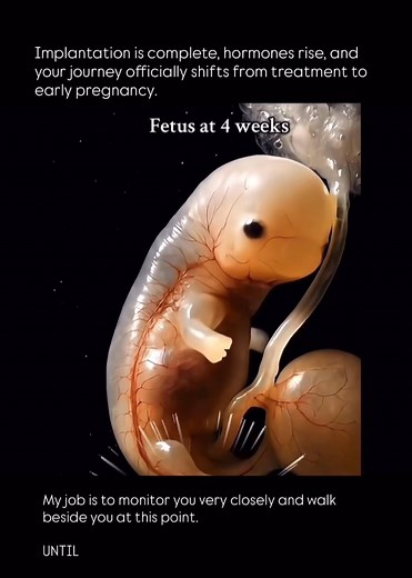 1M views · 13K reactions | We start as strangers, we become friends...