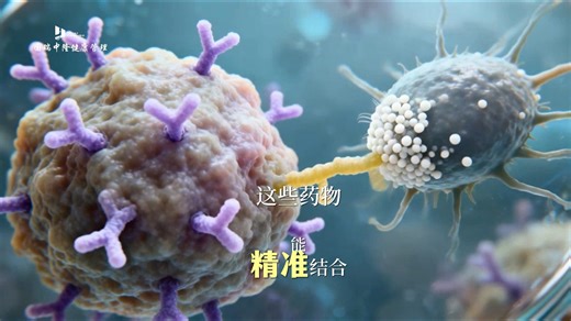 NK 细胞的猎杀时刻🔫先天免疫精准灭瘤