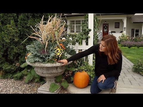 Fall Containers with Cornstalks! 🥰🌾🍁 // Garden Answer