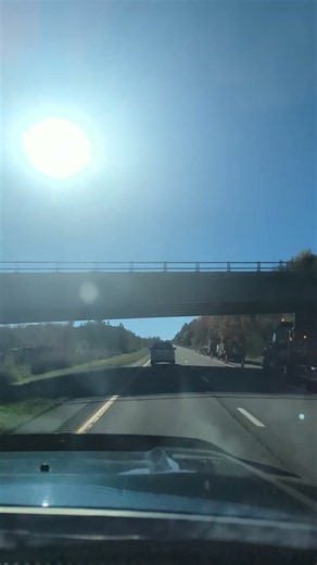 Fall leaves Southern tier NY #fall#nature#naturelovers#natural#dog#dogs#shorts#shortvideo#short#joy