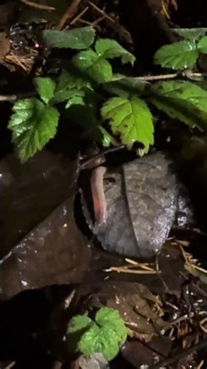 Local Weather Report 5