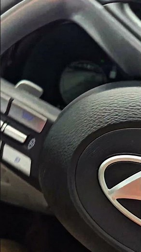 2024 Hyundai Palisade Blind Spot Detection Live Feed Camera in Dashboard LIVE! nice technology!