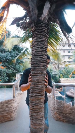 Tropika Brewing Co. on Instagram: "#newbeeralert Coconut Cream Ale Pours a bright, pale golden straw with a soft white head that lingers gently. The aroma bursts with fresh toasted coconut, evoking coconut cream pie. Easy drinking all day. 5.4% ABV"