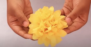 How To Make Beautiful DIY Tissue Paper Flowers - Party Decor Ideas