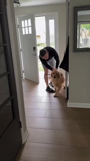 323K views · 19K reactions | Credit: @Dylan_Anderson on YouTube Best friends make every moment brighter ✨ This compilation is all about laughter, love, and unforgettable memories with your favorite people. #BestFriends #Besties #FriendshipGoals #BestFriendLove #BFFLife #FriendshipForever #TrueFriends #BestFriendCompilation #BestieMoments #FriendshipBond | Masoe Kramer | Facebook