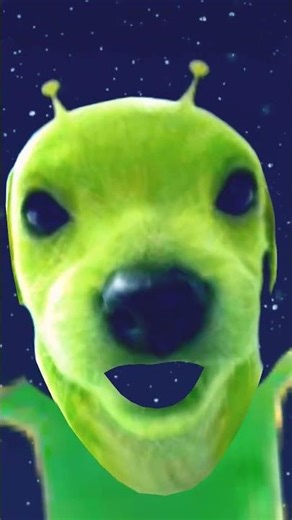 filtros alien dog segundo filtro Alien dogs