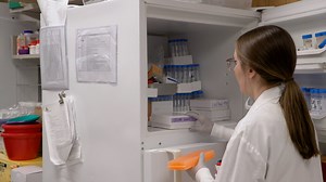 Performing an In Vitro Genome-Wide CRISPR Knockout Screen in Chimeric Antigen Receptor T Cells