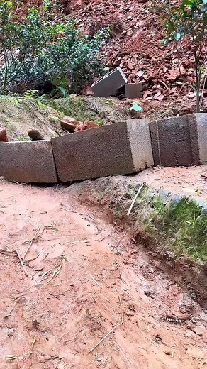 I ate too much and had a nightmare. #puppy #countrydog #cutedog #ruraldog | Bon Nie
