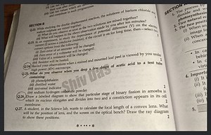 Q.24) Record your observations when a stained and mounted leaf ... | Filo