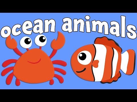 Ocean Animals! Learning Ocean Animals for Kids
