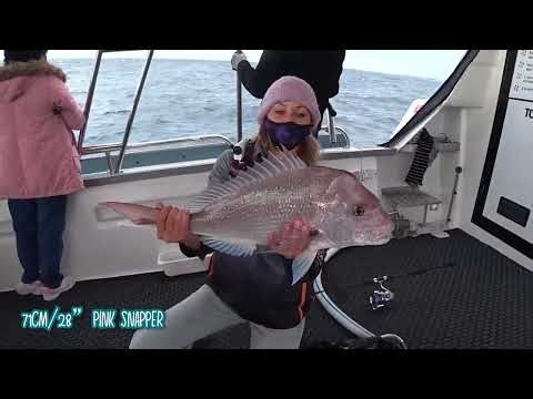🎣 Reef Fishing for BIG Pink Snapper off the Coast of Fremantle, Western Australia 🎣 Jazz Charters