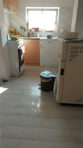 kako moja macka mjauce