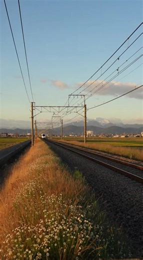 Japan has introduced hydrogen fuel-cell passenger trains that emit only water vapor during operation. The trains generate electricity onboard by combining hydrogen with oxygen, offering a zero-emission alternative to diesel on non-electrified rail lines. Hydrogen trains could play a key role in decarbonizing regional rail networks worldwide. Important Details: • Powered by hydrogen fuel cells • Emits only water vapor • Replaces diesel on non-electrified lines • Quiet and low-maintenance operatio