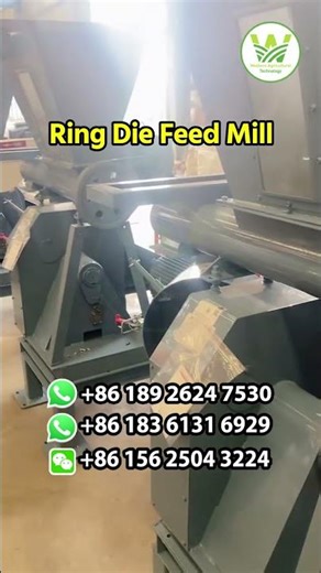 250 Model Ring Die Pellet Feed Machine Stock | Western Agriculture Technology | Zhengzhou, China