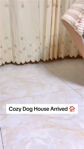 Border Collie 🤩 on Instagram: "LINK IN BIO - Buy this Cozy Dog House for 50% OFF! 🎄 CHRISTMAS Sale Ends Soon 🔔 👉 Press link in @bordersglobe Bio to Shop! 🎉 SAVE 50% Off Limited Time Only at: @bordersglobe"