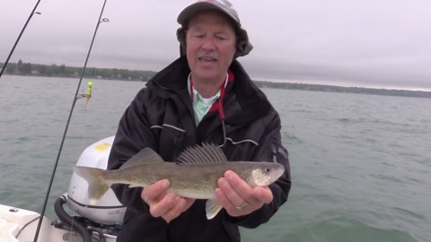 Jigging for walleye - passive vs aggressive jigs
