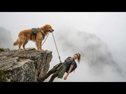 She Slipped Off a Cliff… What This Dog Did Next Is Unbelievable (Dog Rescue Story)