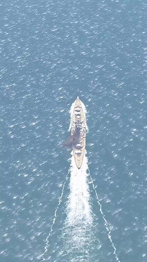 Why Bismarck Pushed Its Plane Overboard? | With Denis Brem