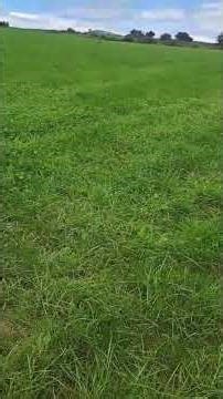 Customer grass update using OMEX fertiliser