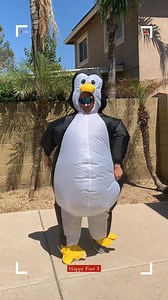 Watch Dancing Penguin Inflatable Costume on Amazon Live