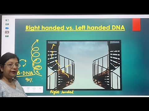What are right-handed DNA and left-handed DNA?Class 12 CBSE, ISC, NEET, CUET, ‎@B-gg2kr