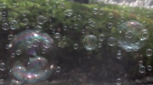 Virtual Soap Bubbles in POV-Ray 3.7