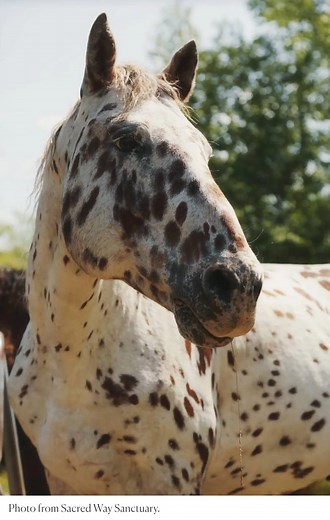 52K views · 785 reactions | Part 4. Continued mini-series about the...