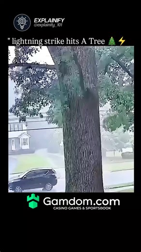 knowverse🧠 on Instagram: "Lightning Strike Hits A Tree ⚡️🌲 Witness the raw power of nature in this electrifying moment where a massive bolt of lightning slams directly into a towering pine, splitting the sky and the trunk with blinding energy. The intense flash illuminates the stormy backdrop, showcasing the dramatic clash between earth and atmosphere. Every detail of the fiery impact is captured, from the jagged streak of light to the stunned silence that follows the thunderous roar. This awe