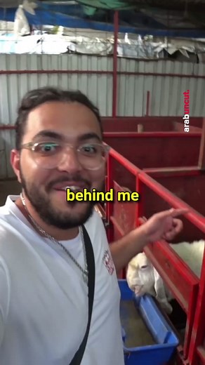 Arab | Inside a Goat Fighting Farm 🐐 [Full video on YouTube | arabuncut.com] | Instagram