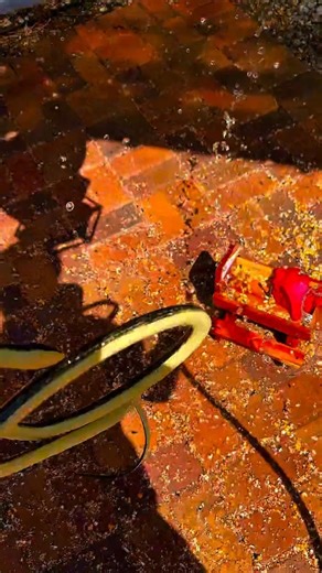 I must do this to protect my family 🎬 This video was produced by Network Media and Adam Barta | Spilled Tea: Dramatic Scenes