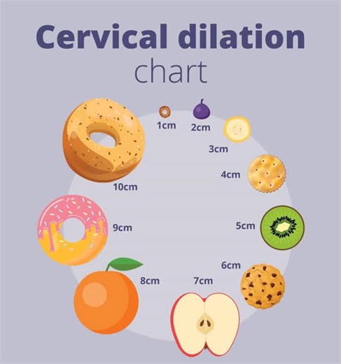 MumWorld.in | Ever wondered exactly how big 10cm really is? 🍩 During labour, your cervix goes through some amazing changes; it softens, thins and... | Instagram
