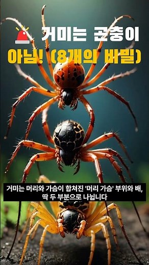 "거미는 왜 곤충이 아닐까?" 다리 8개 vs 6개! 거미와 곤충의 결정적인 차이 3가지 (과학 상식 Shorts)