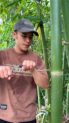Survival Skills: How to Get Water from a BAMBOO Tree 💧#bamboo #survival #outdoor