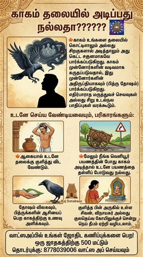 ​காகம் தலையில் அடித்தால் என்ன பலன் நல்லதா? கெட்டதா? | செய்ய வேண்டிய உடனடி பரிகாரங்கள் | Raj Database