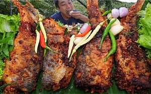 【泰国tomza】6.26更新炸橙鱼配新鲜辣椒、新鲜大蒜、青葱、热糯米。