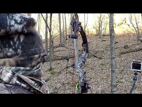Filmed my Amazing adventure of Bow hunting a Whitetail Deer Buck with GOPRO